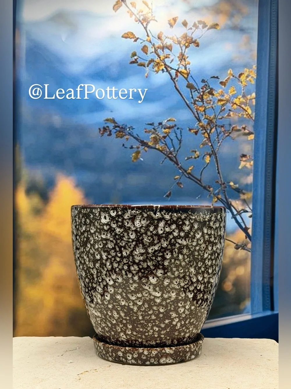 8 Inch Ceramic Planter with Attached Saucer & Drainage Hole | Speckled Brown Pot